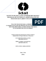 Plan de Negocios para La Producción de Prendas Jeans para Damas Plus Size para Prevenir Las Infecciones Urinarias en El Distrito de Puente Piedra-1