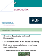 46 Animal Reproduction