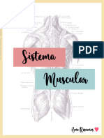 Sistema Muscular