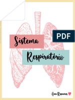 Sistema Respiratorio