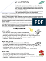 Comparativo Reino Monera, Protoctista, Fungi