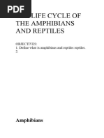 The Life Cycle of The Amphibians and Reptiles