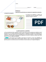 7° Básico Ciencias Naturales