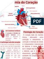 Anatomia Do Coração