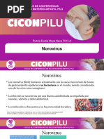 II CICON Norovirus