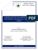 Rapport de Stage Professionnel Awalou B M - 012735