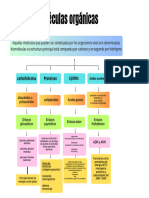 Gráfico de Mapa Conceptual Ordenado en Forma de Árbol Multicolor