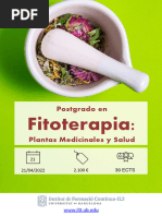 Postgrado Fitoterapia Plantas Medicinales Febrero - 22