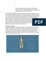 1 Bloqueos Neuroaxiales Peq Especies