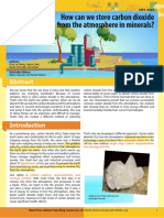 Mineralization Article