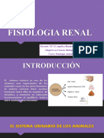 Fisiologia Renal