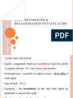 Beta Oxidation