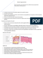 Sistema Tegumentario