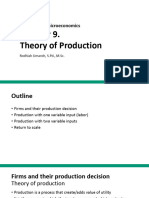 CH 9 - Theory of Production