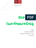 RESUMOS 1º Teste Direitos Fundamentais