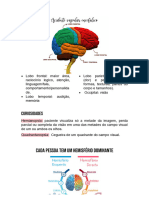 Acidente Vascular Encefalico