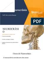 Ossos Do Neurocrânio