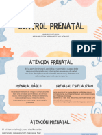 Control Prenatal