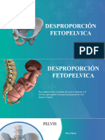 12 Desproporcion Fetopelvica