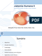 Aula Anatomia II - Anatomia Do Globo Ocular