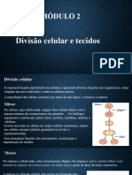 Módulo 2 - Divisão Celular e Tecidos - 8º Ano