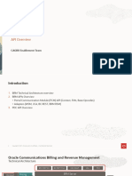 Technical Overview 09 - API