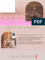 Vaca Muerta