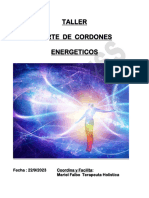 Taller Cordones Energeticos Blanco