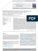 Phloretin Promotes Osteoclast