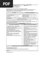 Nursing-Process-Focus-Drug-Study-Template Special Area