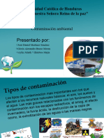 Contaminacion Ambiental