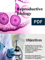 Asexual Reproduction 1