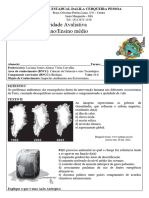 Ativiade Avaliativa 2º Ano Impactos Ambientais.