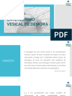 Cateterismo Vesical de Demora