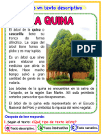 Ficha Plan Lector El Árbol de La Quina