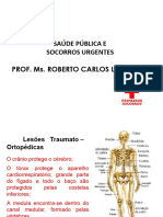 Lesões Traumato-Ortopedicas