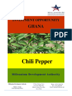 Ghana English Chili