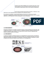 Leccion 10 Final PDF