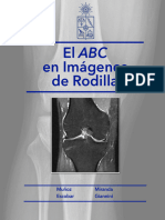 El ABC en Imágenes de Rodilla