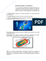 Fundamentos de La Genetica