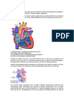 Fisiologia 2 Resumen