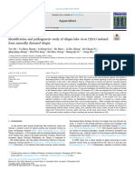 2023-He-Identification and Pathogenetic Study TiLV Isolated Natural Diseased Tilapia