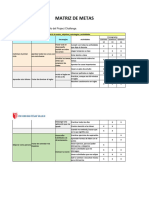 Matriz de Metas 13