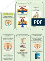 Triptico de La Alimentacion Saludable 2