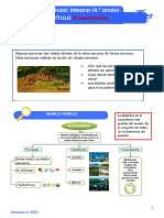 Ciencia Lúdica - Ficha5 - Vu 2023 - 4° Primaria