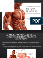 Aula 4 - Sist. Muscular