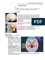 Clase 3 - Cavidades Comunes I