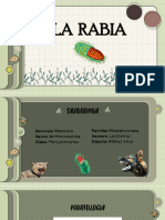 Virus de La Rabia 1