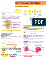 Resumen KK Embrio Gastro