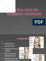 Artrología de Miembro Inferior